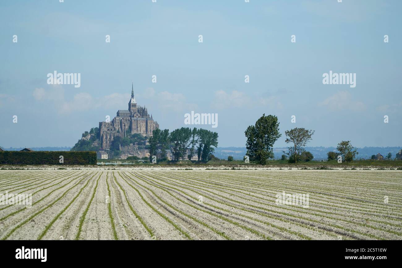Mont St. Michel mit Sandfeldern Stockfoto