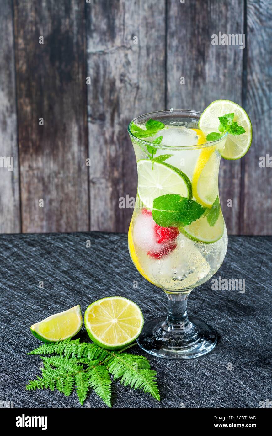 Limonade mit fruchtigen Eiswürfeln und Minze - erfrischendes alkoholfreies Sommergetränk Stockfoto