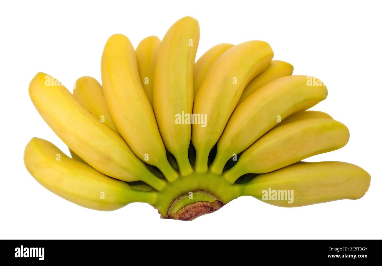 Bündel Von Mini-Bananen in Einkaufskorb Isoliert Auf Weißem Hintergrund  Stockbild - Bild von schüssel, voll: 217813861