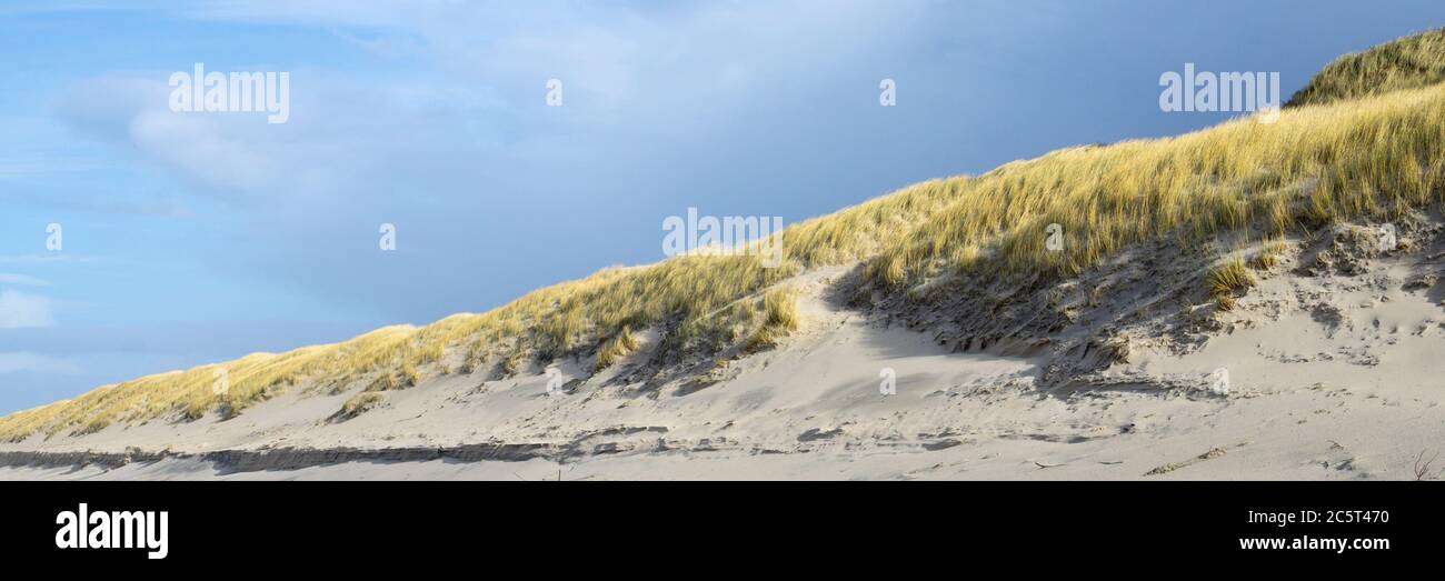Düne auf Sylt, Nordfriesische Insel, Nordfriesland, Schleswig-Holstein, Deutschland, Europa Stockfoto