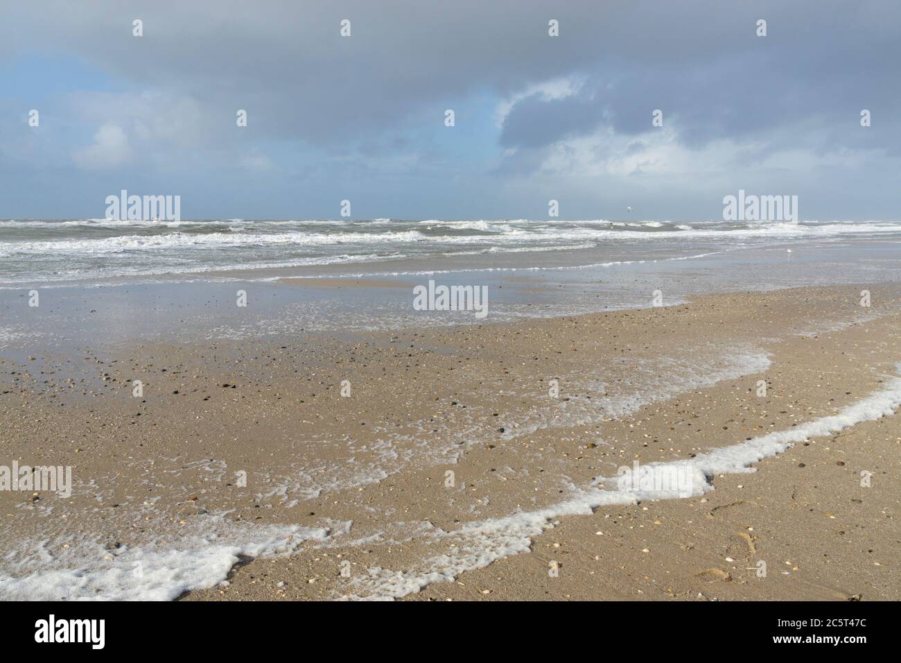 Düne auf Sylt, Nordfriesische Insel, Nordfriesland, Schleswig-Holstein, Deutschland, Europa Stockfoto