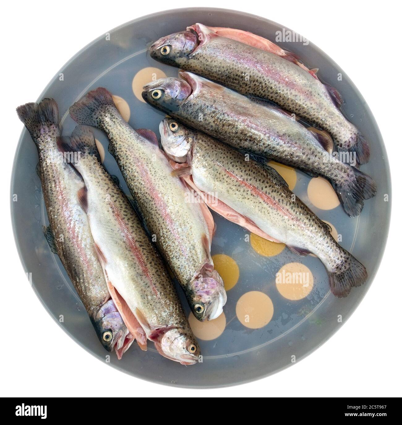 Eine Regenbogenforelle wartet in Gericht, gebraten werden. Beschneidungspfad. Stockfoto