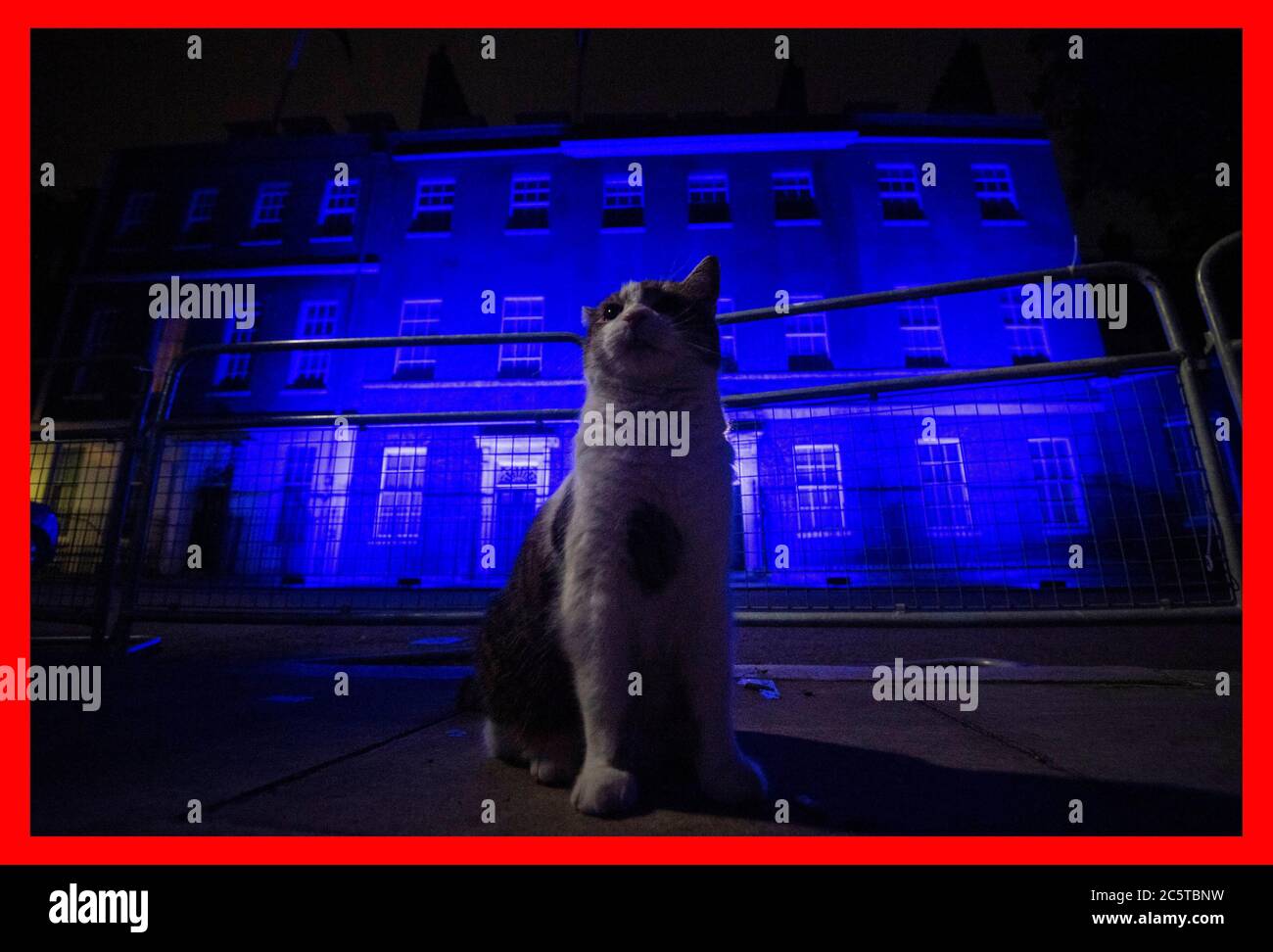 Larry, die Katze, steht vor der Downing Street 10 in London, als sie am Samstagabend im Rahmen der NHS-Geburtstagsfeier blau beleuchtet wird. Stockfoto