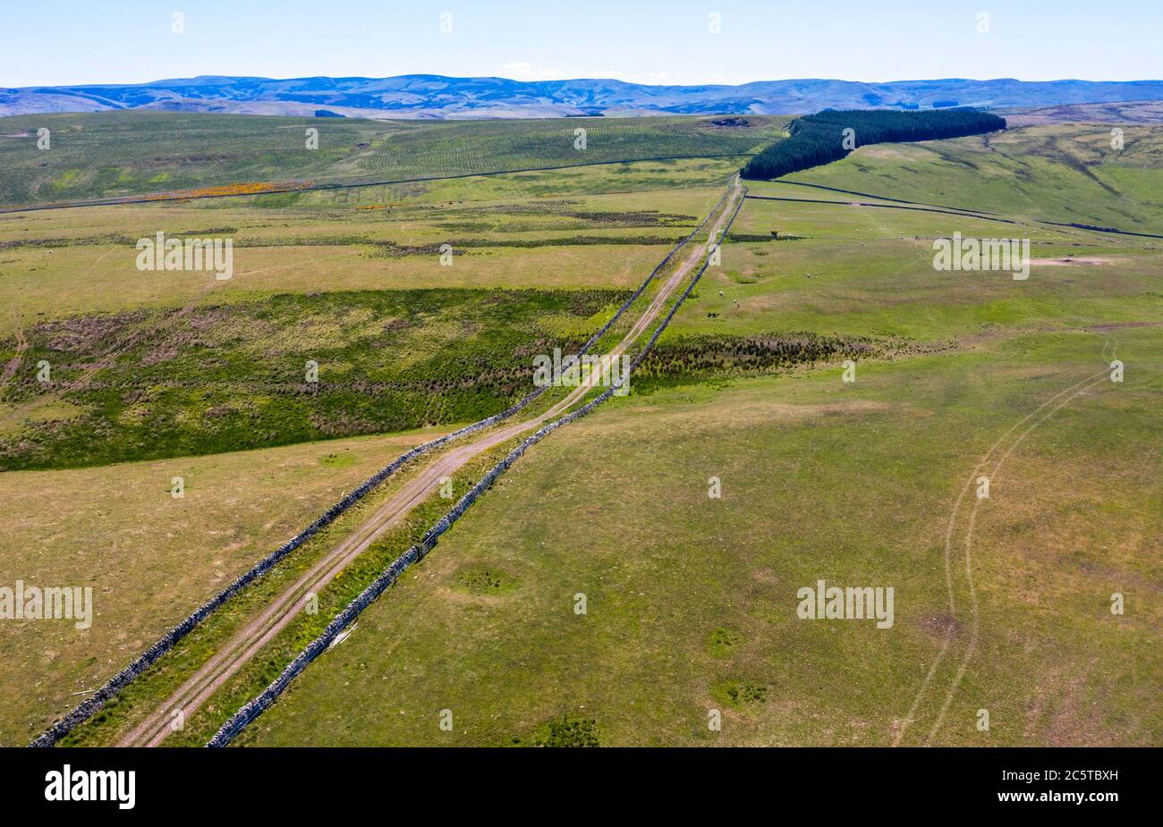 Dere Street, Roman Road in Whitton Edge bei Jedburgh, Scottish Borders, Großbritannien Stockfoto