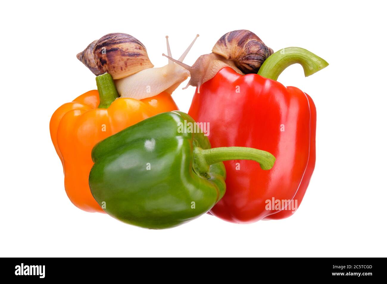 Frisches Gemüse. Drei süße saftige rote, gelbe, grüne Paprika, isoliert auf weißem Hintergrund. Die Schnecken kriechen an frischen Krusten entlang und küssen sich wunderschön Stockfoto