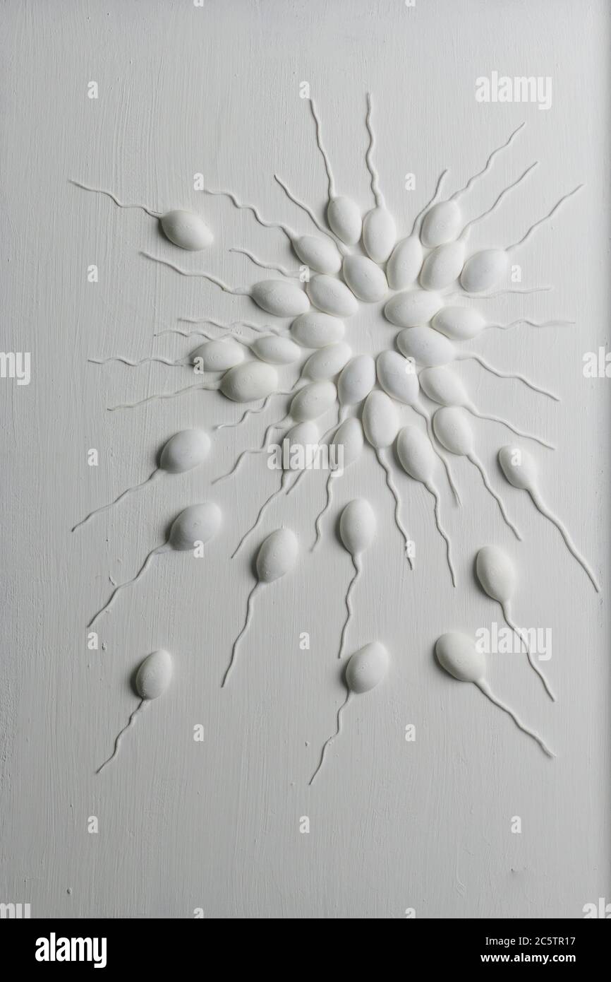 Sperm Fotos und Bildmaterial in hoher Auflösung Alamy