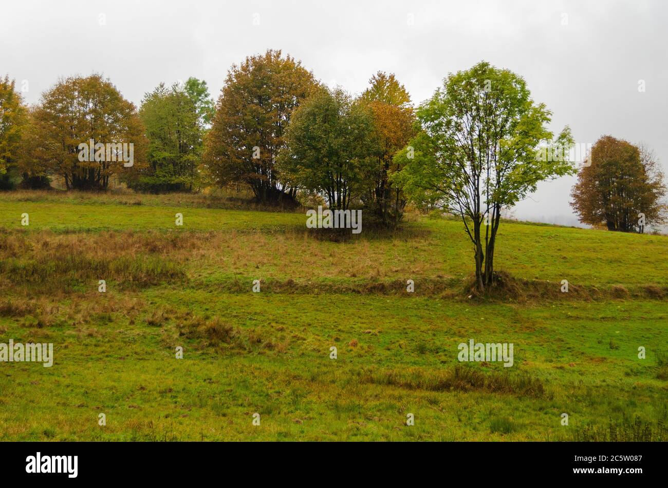 Felder in den Bergen bei nebligen und regnerischen Wetter in Polen, in der Nähe von Babia Góra Stockfoto