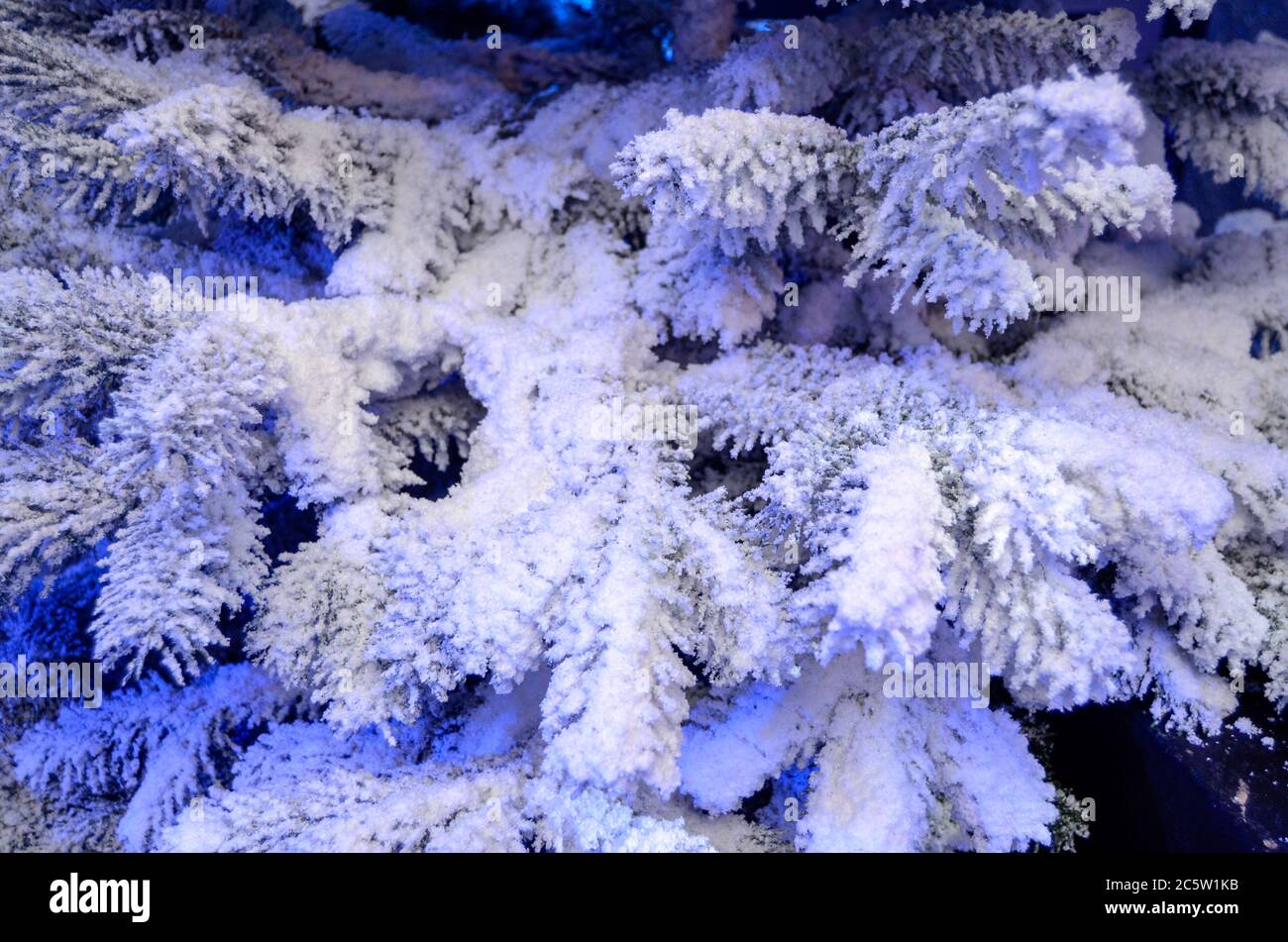 Weihnachtsbaum Äste mit künstlichem Schnee bedeckt Stockfoto