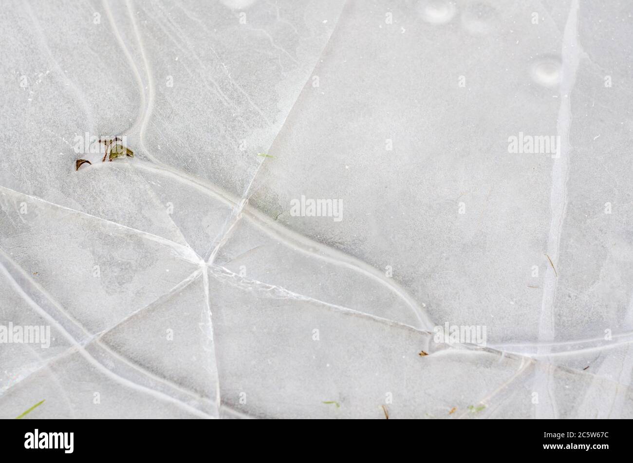 Rissige Eis auf einer gefrorenen Pfütze mit grünem Gras auftauchend Von unten Stockfoto