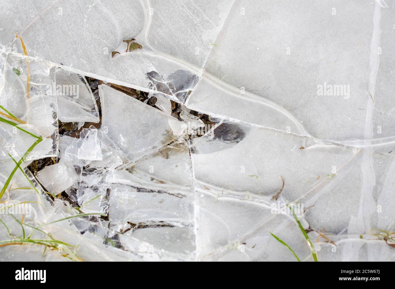 Rissige Eis auf einer gefrorenen Pfütze mit grünem Gras auftauchend Von unten Stockfoto