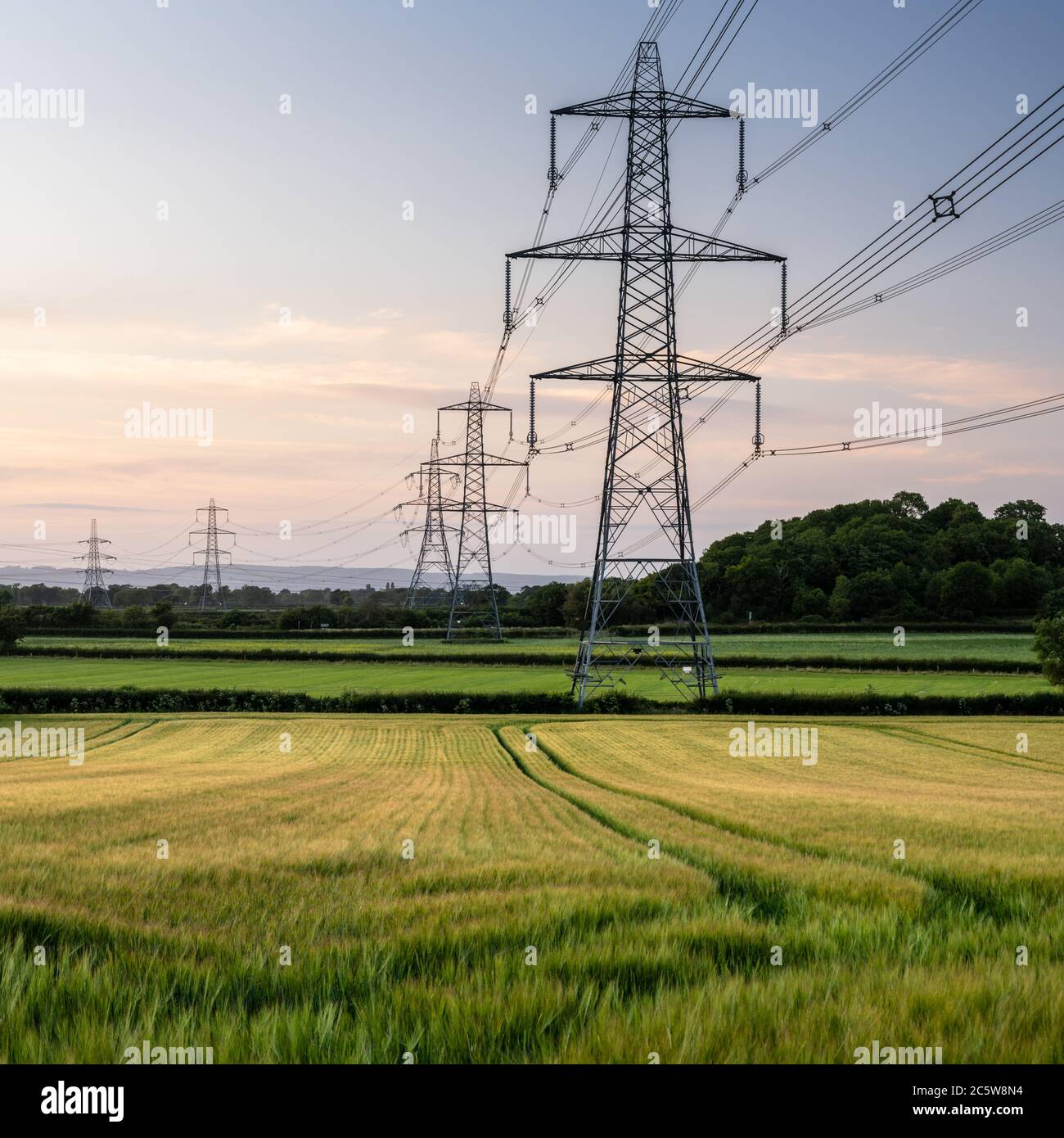 Masten mit Stromleitungen des National Grid stehen hoch über Getreidefeldern und Weiden Stockfoto