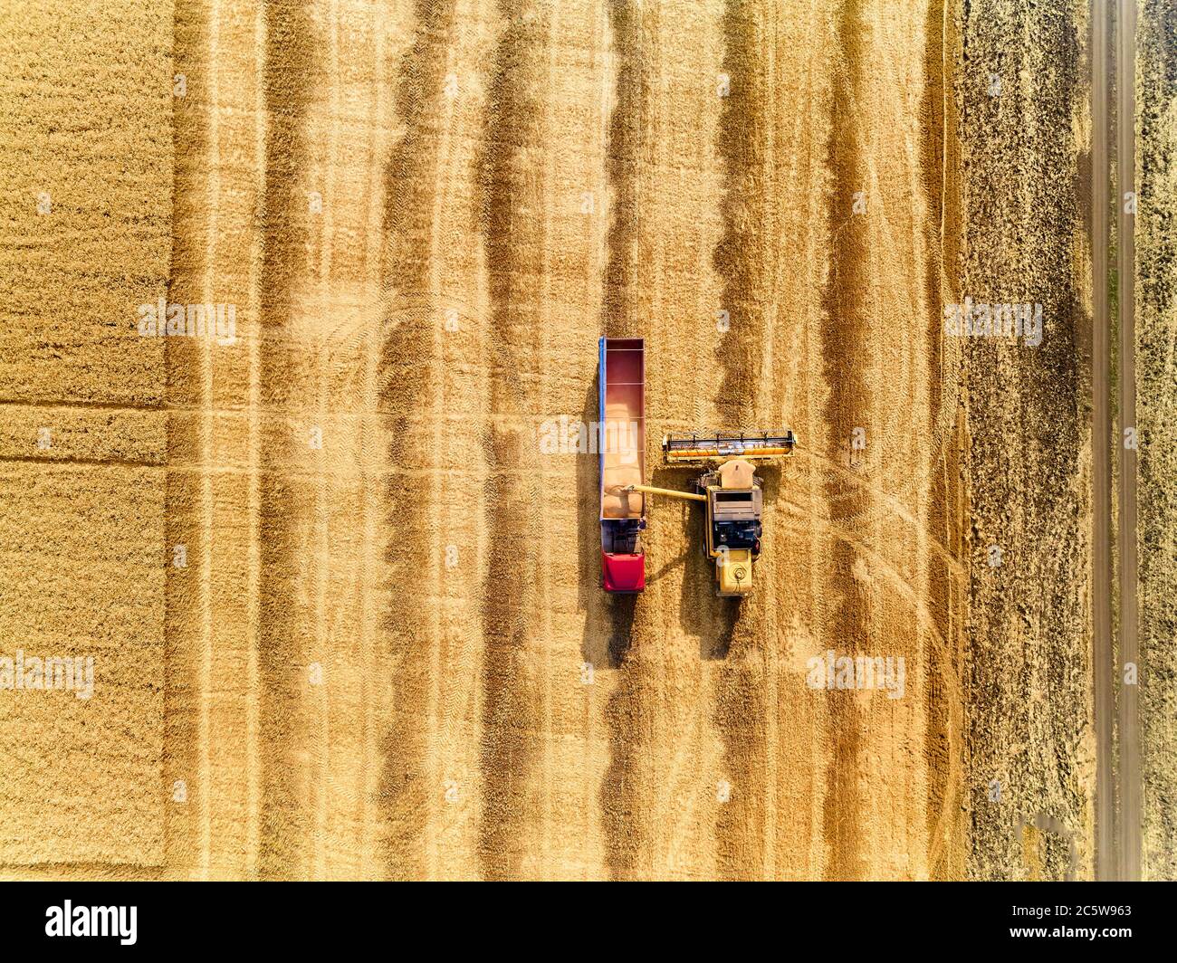 Luftdrohne Ansicht von oben: Überladung Getreide von Mähdreschern in  Getreide LKW im Feld. Harvester Ablader Gießen Weizen in Box Körper  Stockfotografie - Alamy