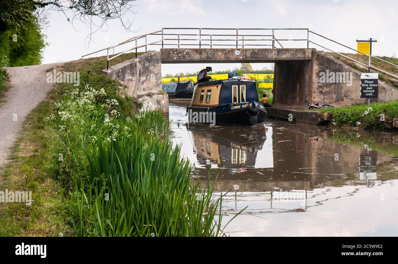 Ein Bootsfahrer navigiert ein traditionelles Schmalboot unter der Brücke 165 auf dem Kennet und Avon Kanal bei Hilperton Marsh bei Trowbridge in Wiltshire. Stockfoto