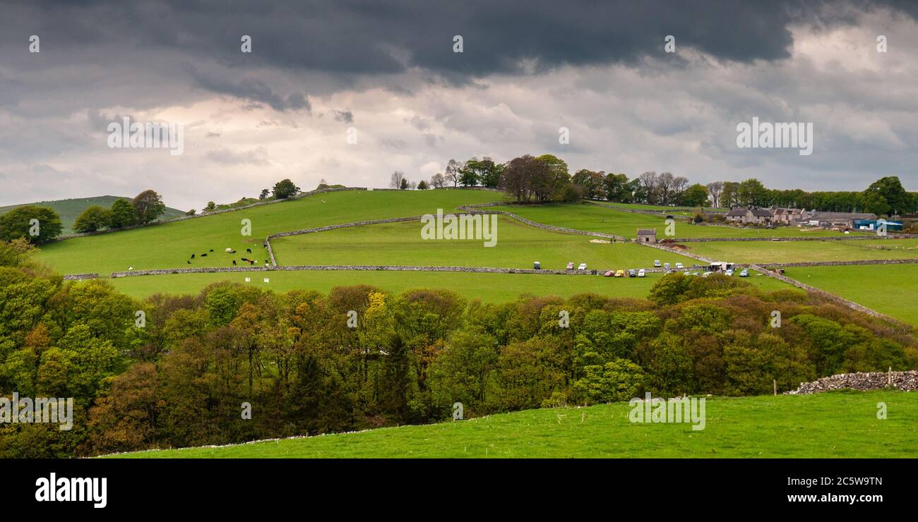 Traditionelle englische Schafhunde Studien finden auf einem Hügel in Derbyshire Peak District. Stockfoto