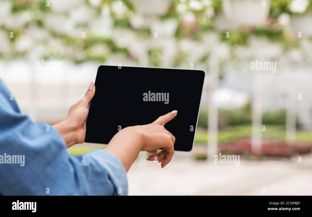 Blumen und Technologie. Hände von afroamerikanischen Mädchen steuern Tablette im Gewächshaus Innenraum Stockfoto