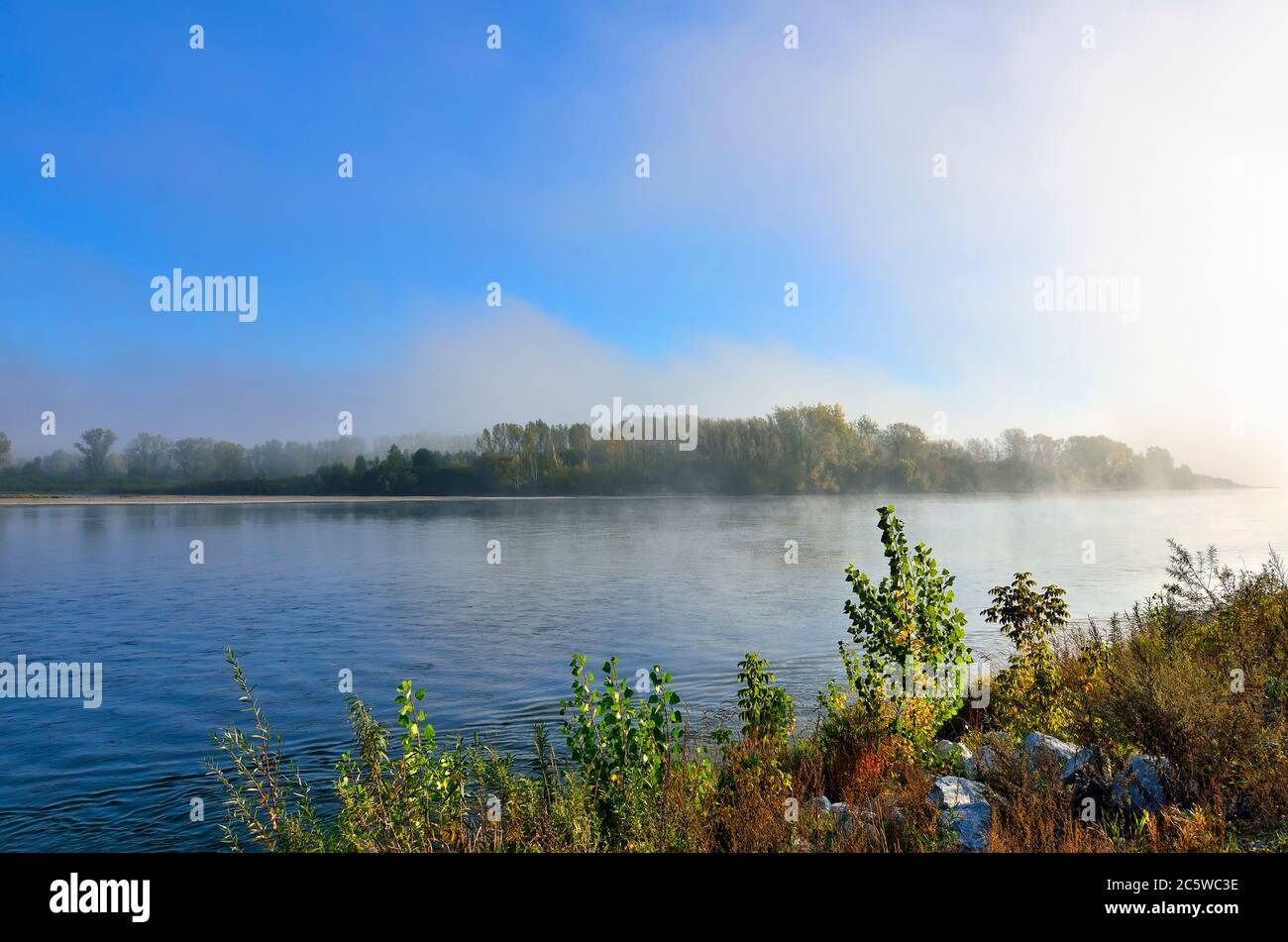 Früher nebliger Morgen über dem Fluss - wunderschöne Sommerlandschaft. Dichter Nebel über dem Wald am Ufer - Frische, Ruhe und Genuss der Natur Stockfoto