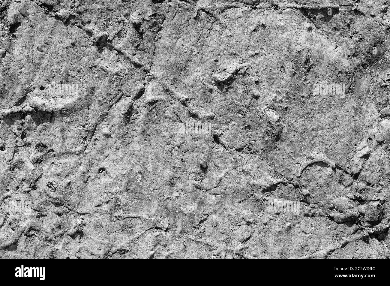 Textur aus dunkelgrauem und schwarzem Schiefer oder Hintergrund für Design. Wand einer Felsoberfläche mit einem abstrakten Muster. Stockfoto