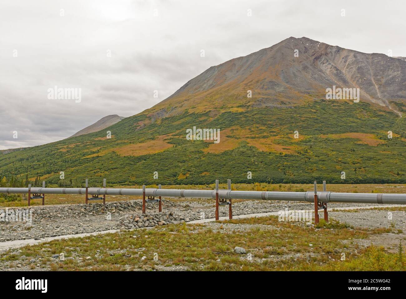 Alaska Ölpipeline Kreuzung Miller Creek in der Nähe der Richardson Highway in Alaska Stockfoto