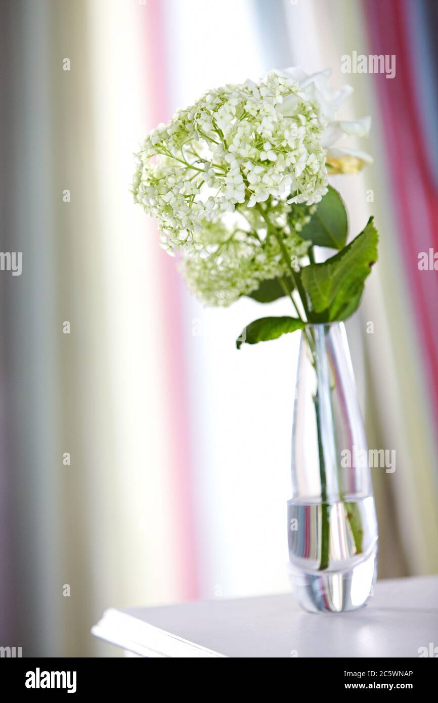 Ein Strauß weißer Blumen in einer Glasvase über einem Tisch im Innenbereich Stockfoto