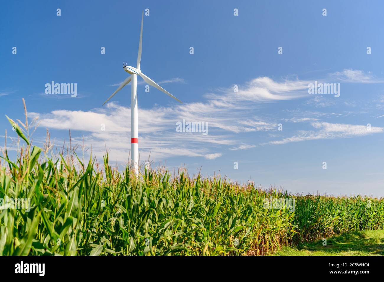 Windkraftanlagen auf einem Feld in Schleswig-Holstein Stockfoto