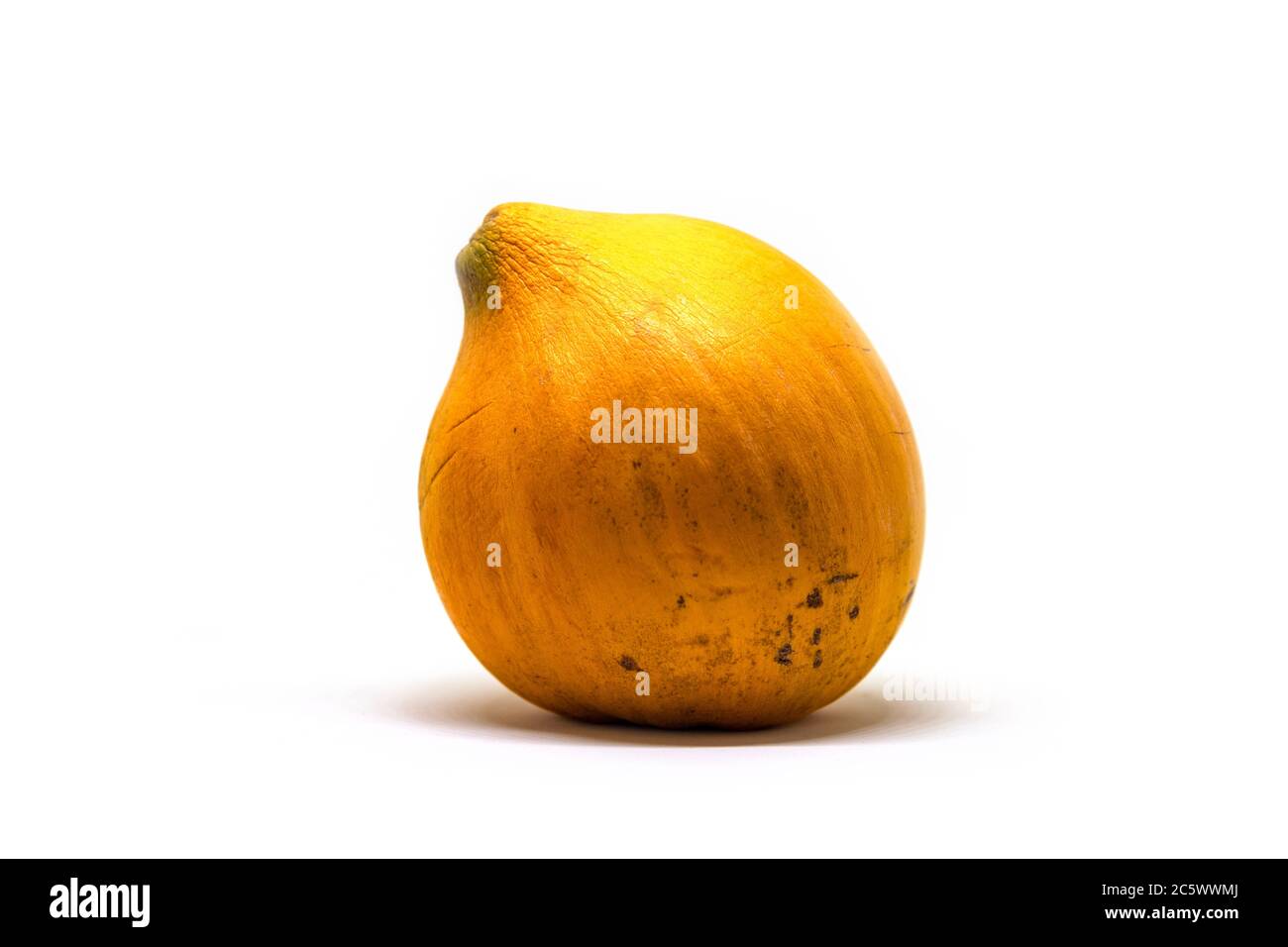 Eggfruit oder Chisa philippinische Frucht Foto auf weißem Hintergrund. Exotische Santol Studioaufnahme. Ungewöhnliche Frucht der Philippinen. Tropisches Dessert mit süß Stockfoto