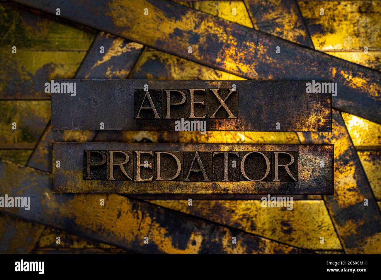 Apex Predator Text mit echten authentischen Buchstaben auf vintage texturierten Silber Grunge Kupfer und Gold Hintergrund gebildet Stockfoto