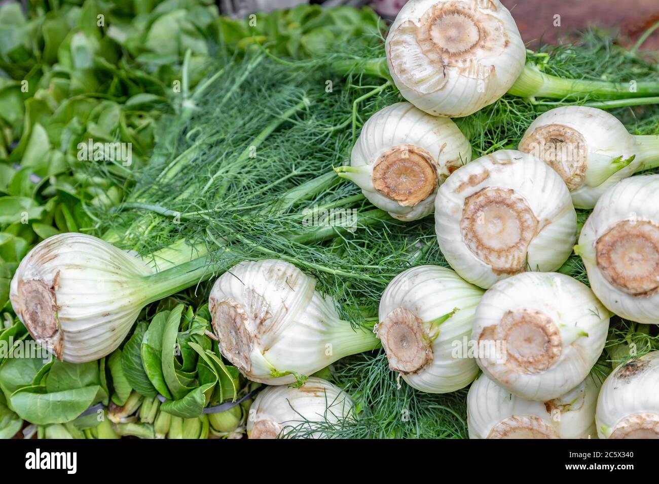 Ein Haufen Fenchel-Glühbirnen zum Verkauf auf einem Bauernmarkt Stockfoto