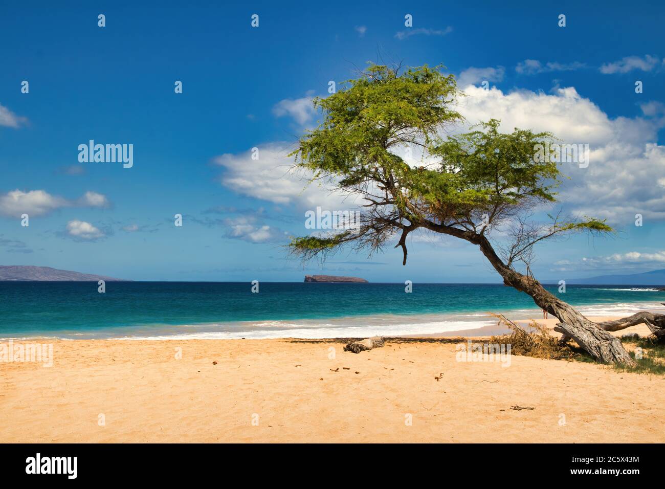 Blick auf Molokini vom Big Beach auf Maui. Stockfoto