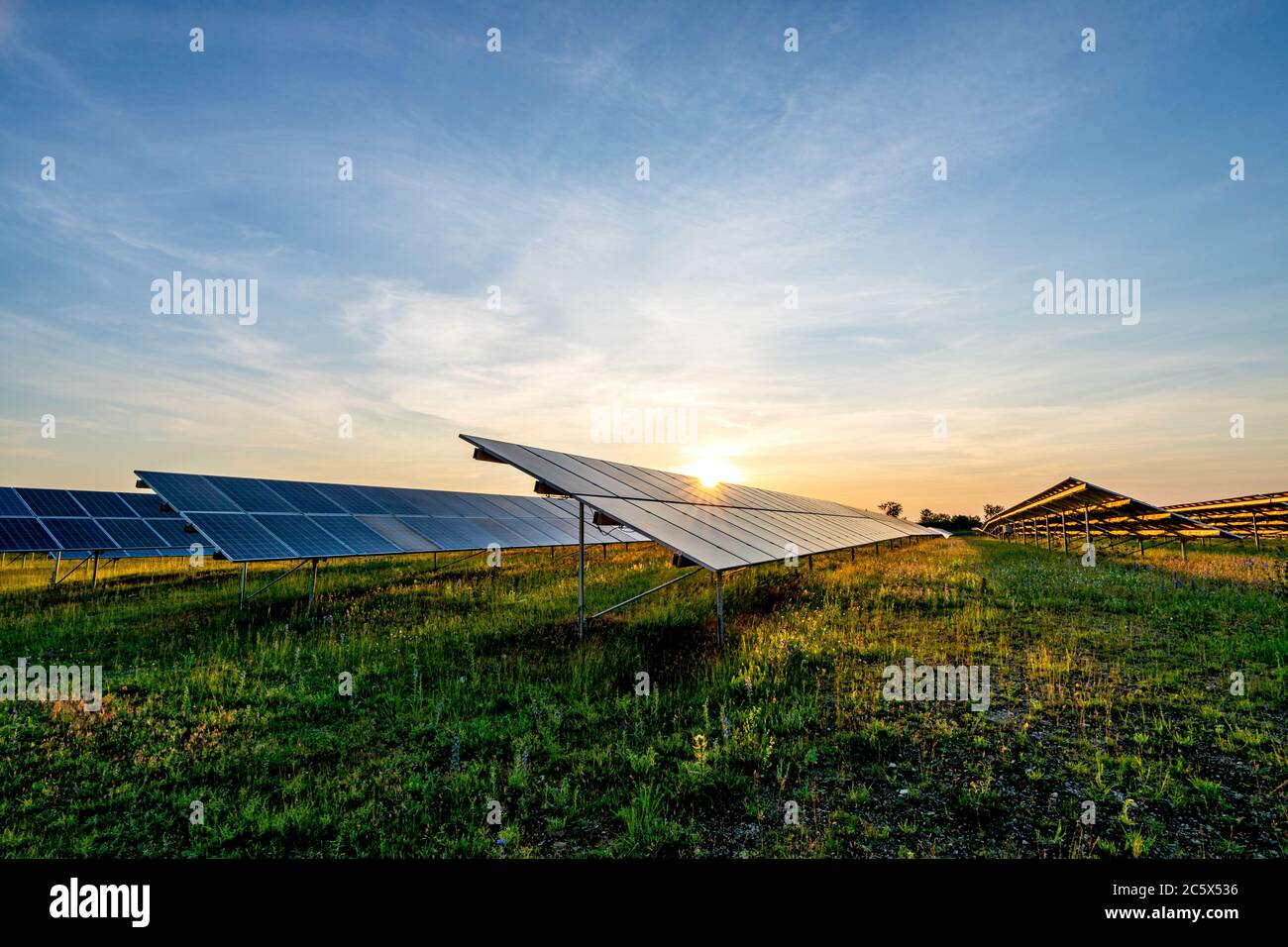 Erdbefestigte Photovoltaikanlage bei Sonnenuntergang Stockfoto