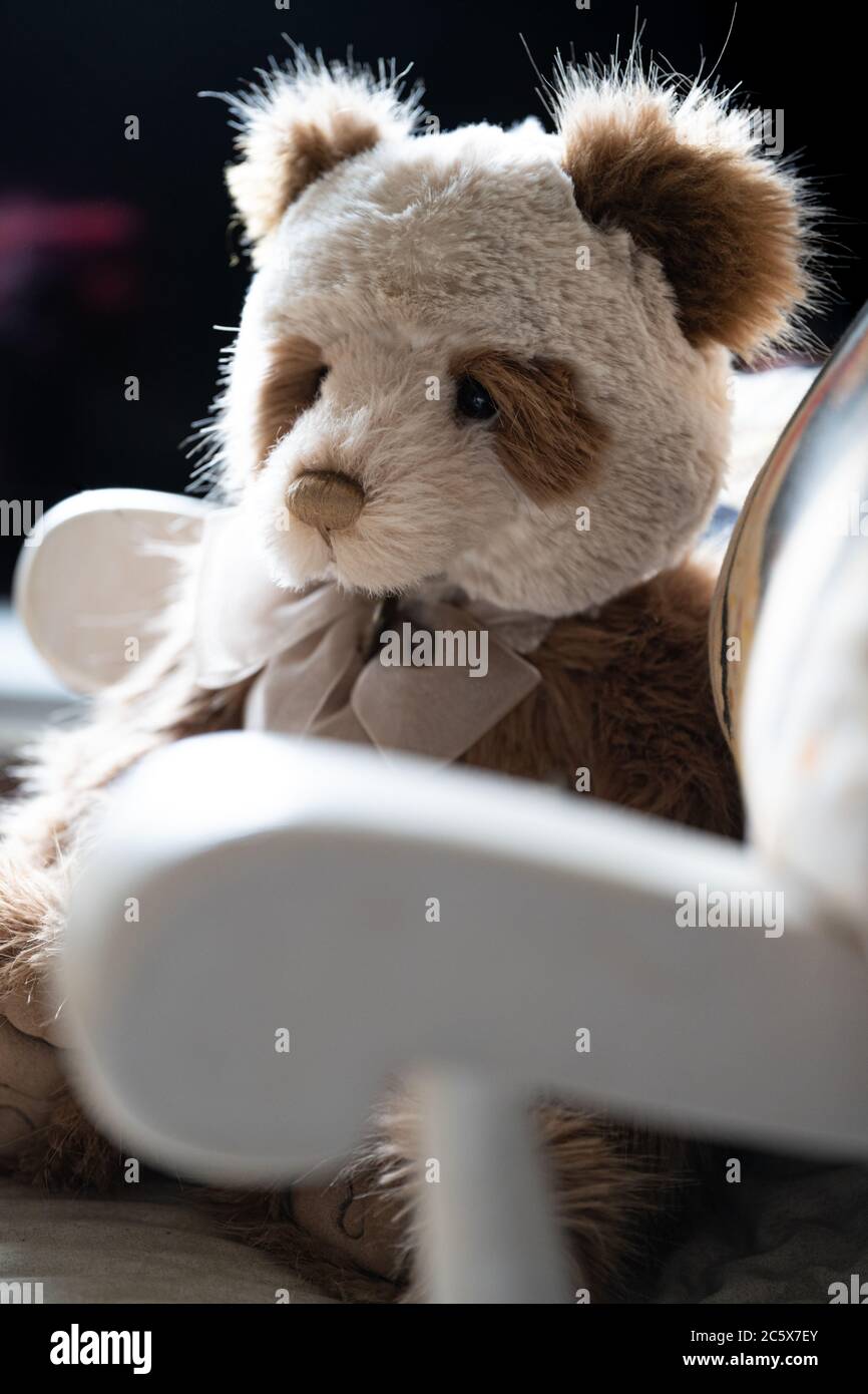 Ein großer braun-weißer Plüsch-Teddybär von Charlie Bear namens Daniella, der auf einem weißen Schaukelstuhl sitzt, der vom Sonnenlicht beleuchtet wird Stockfoto