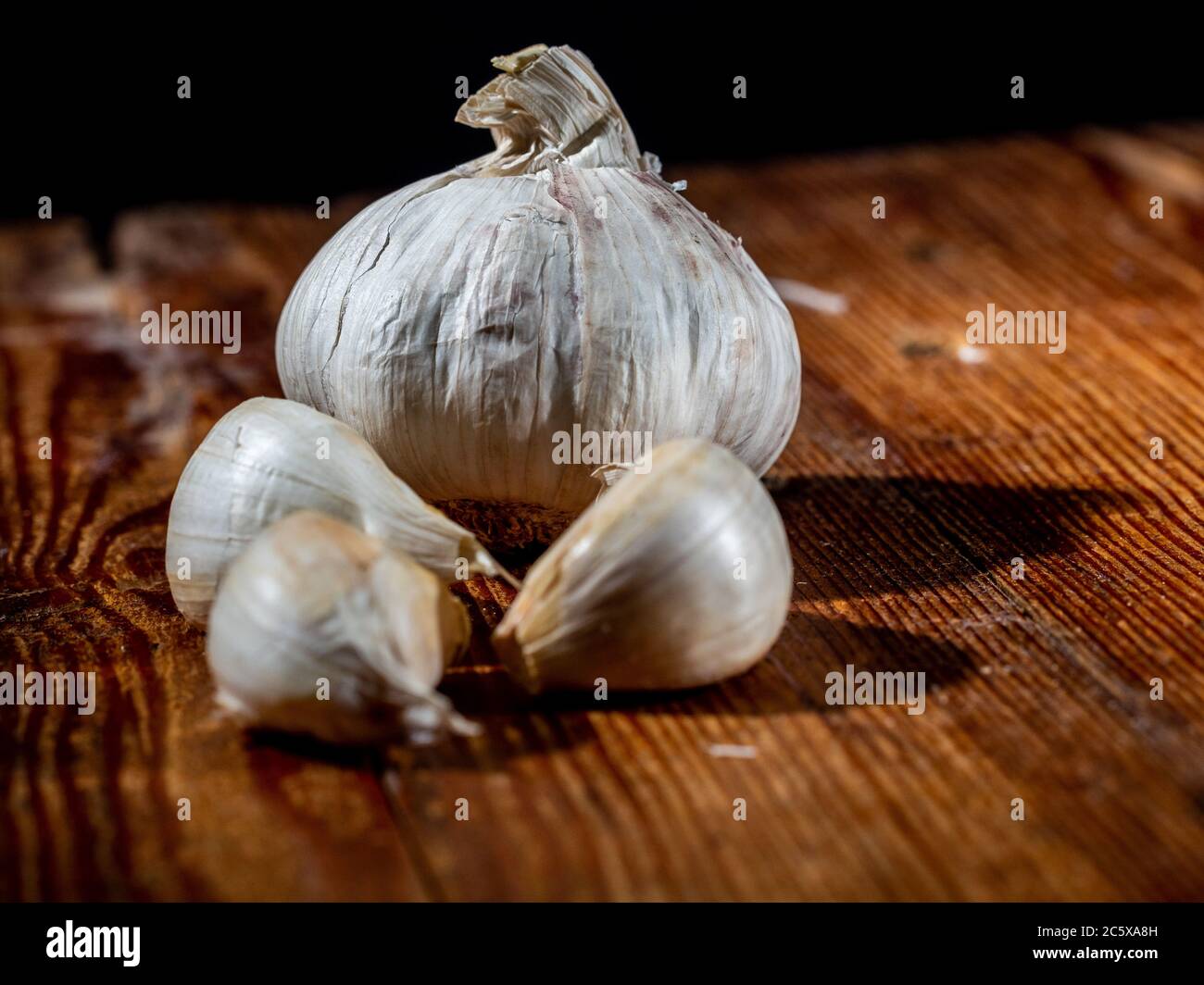 Knoblauchkopf, auf einem Holzsockel Stockfoto
