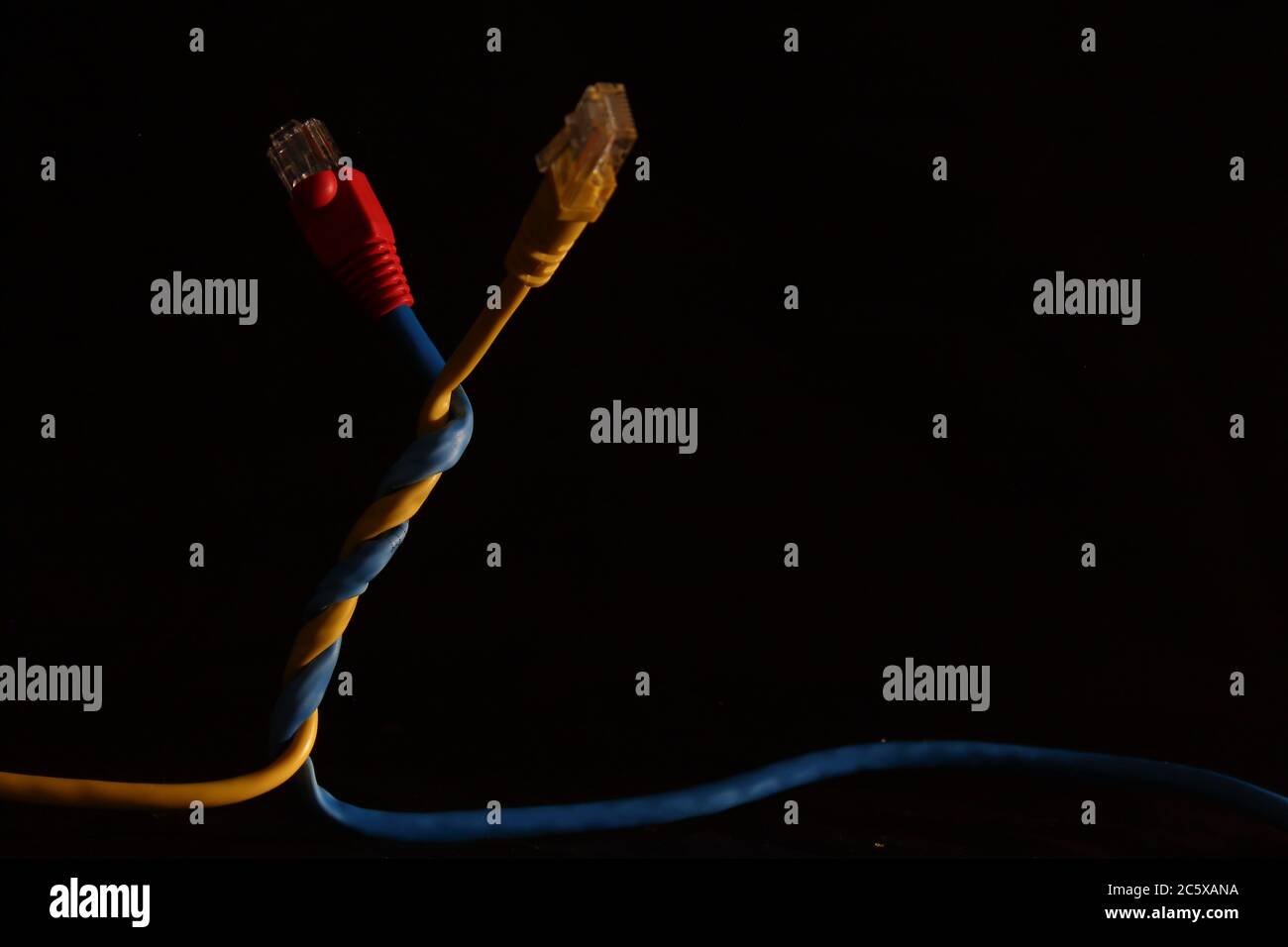 Zwei Netzwerkkabel mit j45-Anschluss in den Primärfarben Gelb, Blau und Rot Stockfoto