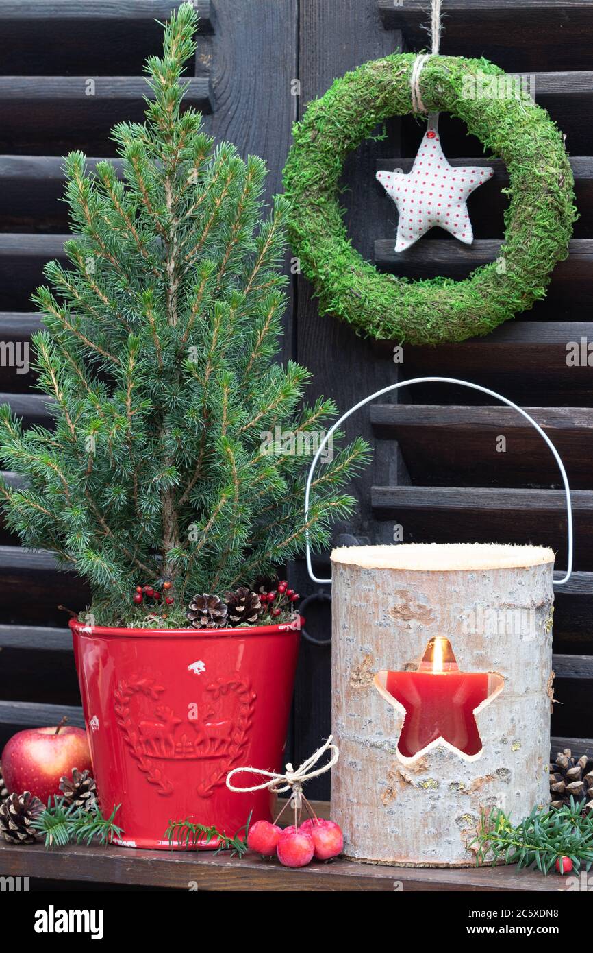 weihnachtsgartendekoration mit Holzlaterne und picea glauca in rotem Pflanzentopf Stockfoto