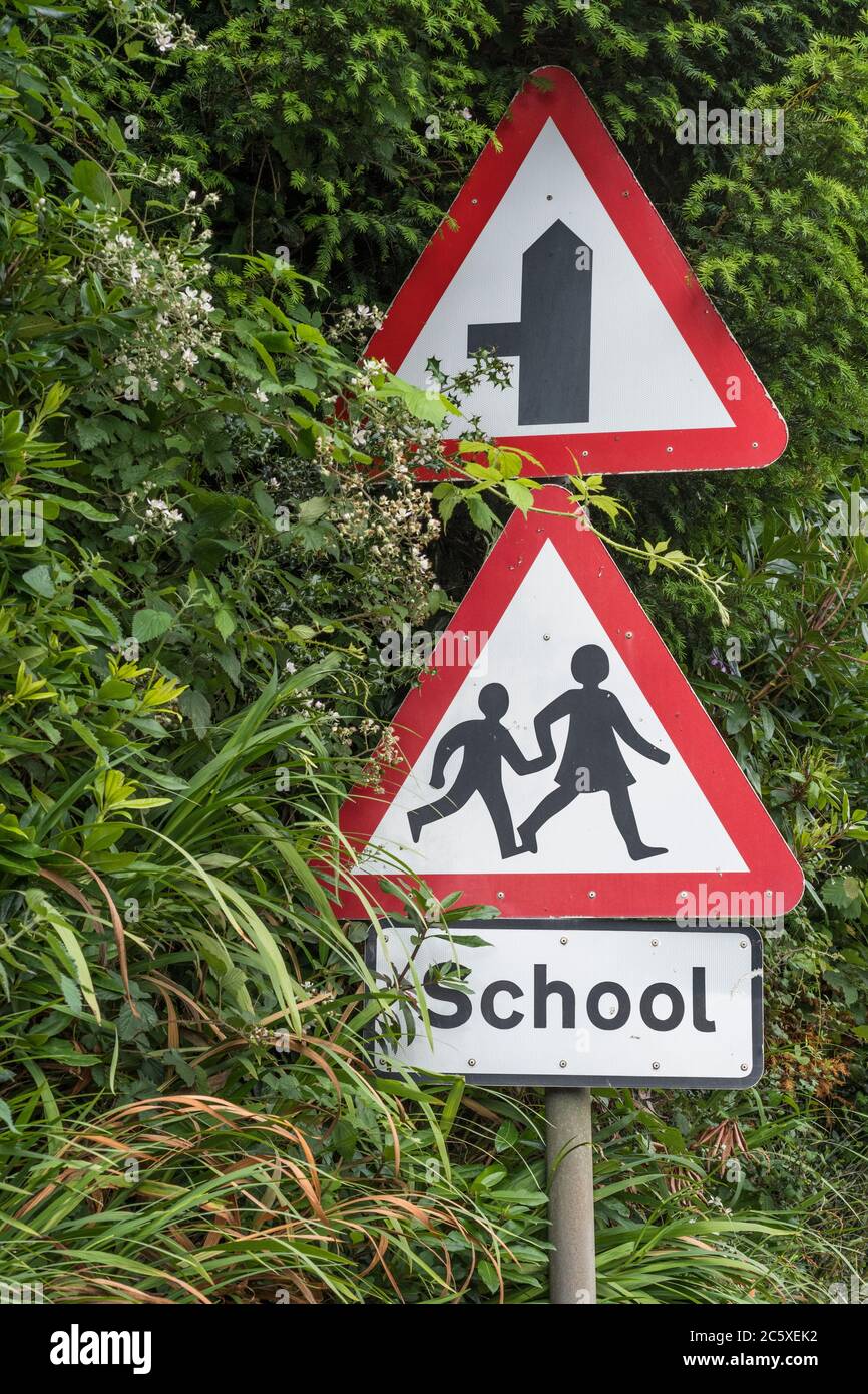 Ländliche Land Schule dreieckiges Warnschild in Straßenhecke. UK Junge und Mädchen zu Fuß Piktogramm für Sicherheitsbewusstsein. Metapher zurück in die Schule. Stockfoto