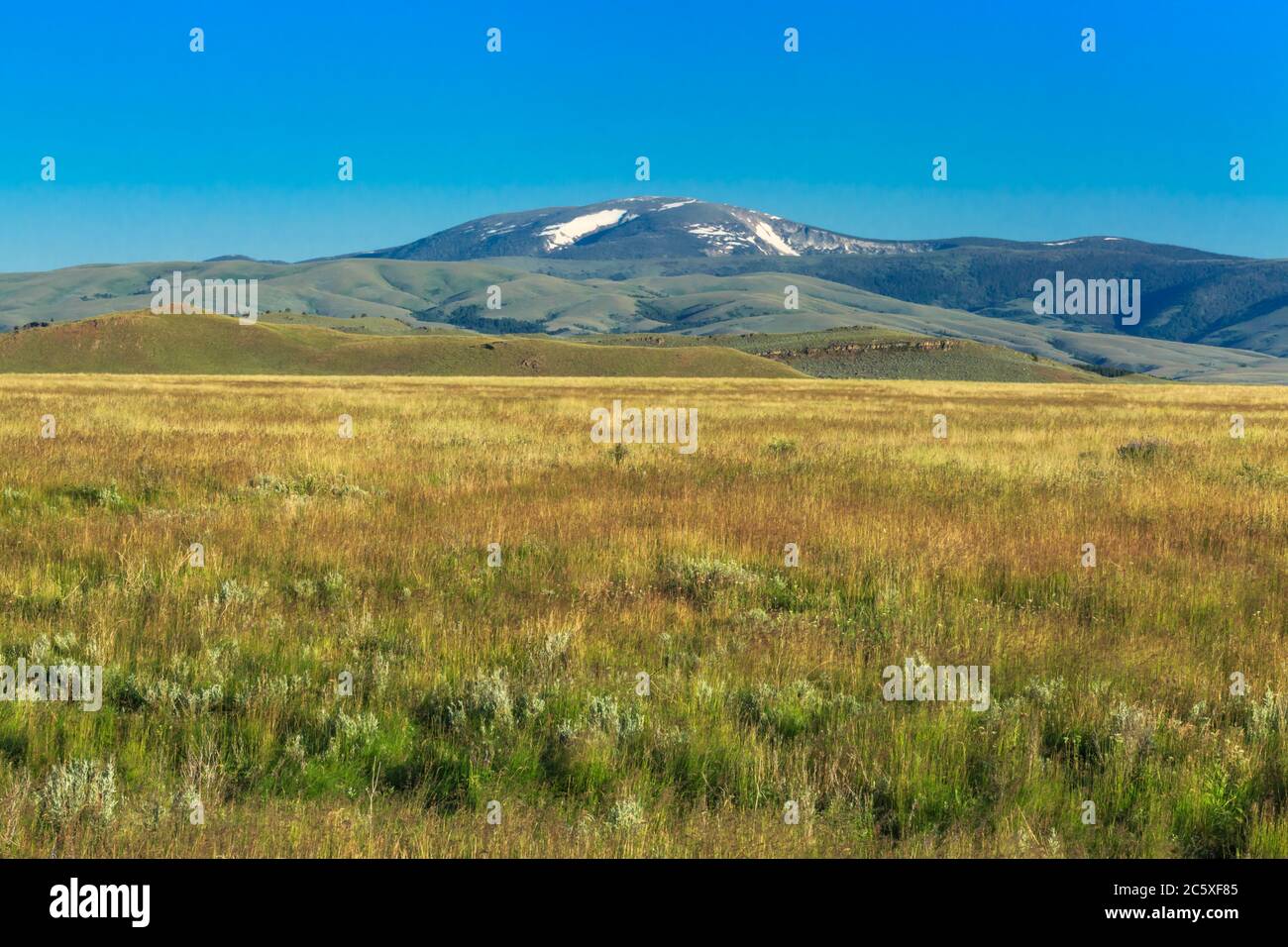 Ausläufer unterhalb des Mount edith im großen Gürtel Berge nahe weißen Schwefelquellen, montana Stockfoto