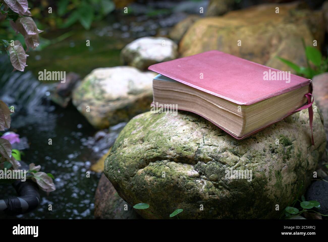 Bibel mit Lederbezug auf einem Stein neben einem Teich. Erfrischendes Wort Gottes. Stockfoto