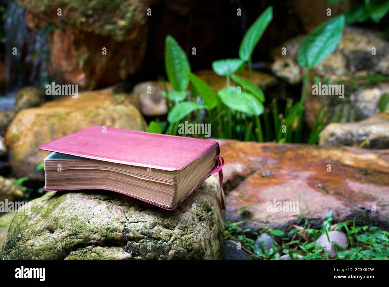 Bibel mit Lederbezug auf einem Stein neben einem Teich. Erfrischendes Wort Gottes. Stockfoto