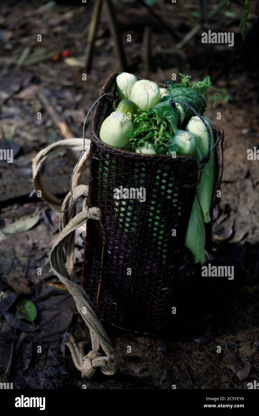 Träger landwirtschaftlicher Erzeugnisse. Rattan Rucksack. Traditioneller handgemachter Eimer aus der IBAN-Gemeinde in West Kalimantan, Indonesien. Stockfoto