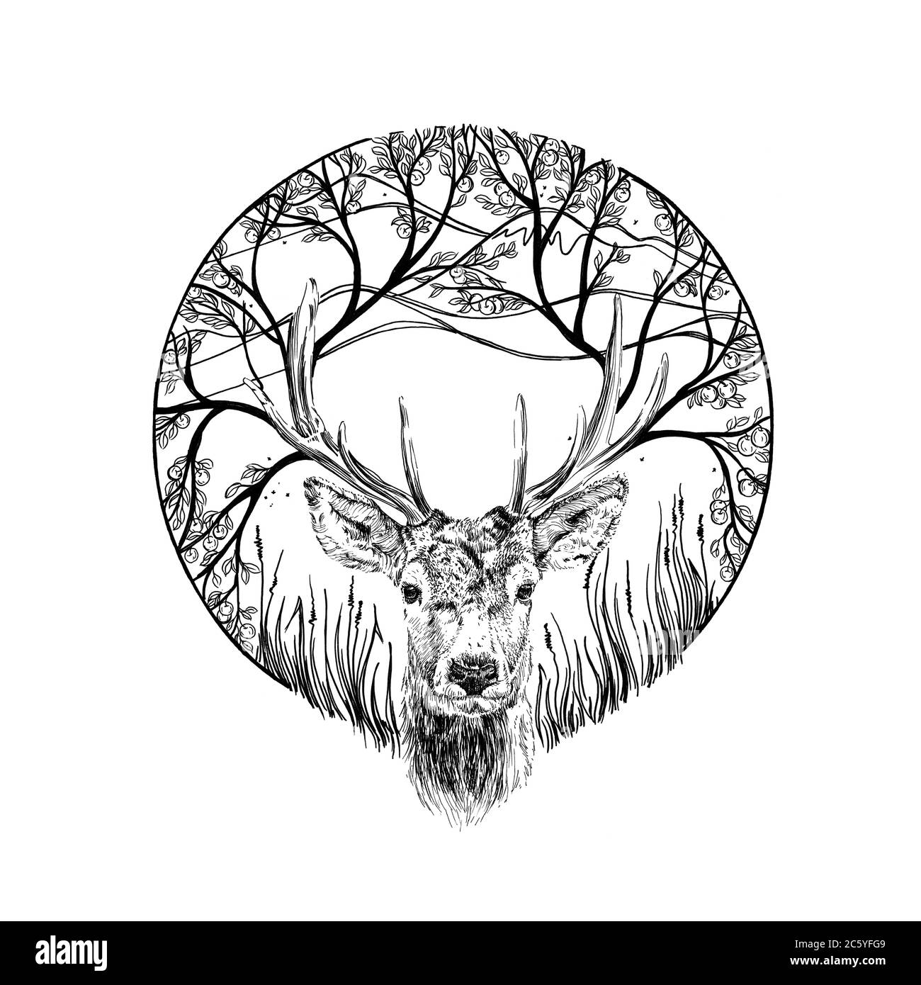 Handgezeichnetes Hirsch-Portrait, Skizzengrafik monochrome Illustration auf weißem Hintergrund (Originale, keine Zeichnung) Stockfoto