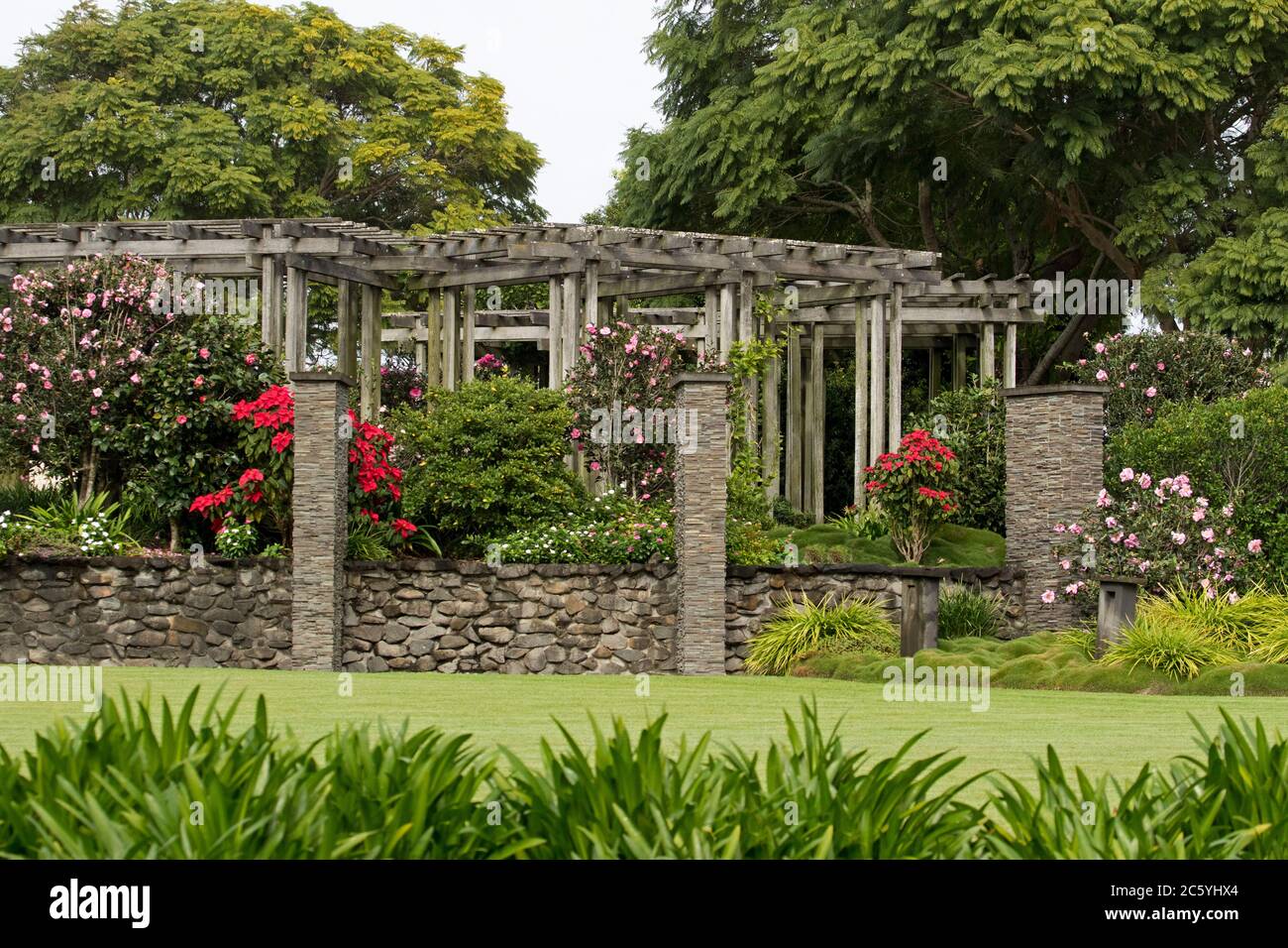 Farbenfroher Garten mit weitläufiger Pergola mit Steinmauer und Säulen mit blühenden Sträuchern und Kamelien, umgeben von Rasen und schattenspendenen Bäumen in Australien Stockfoto