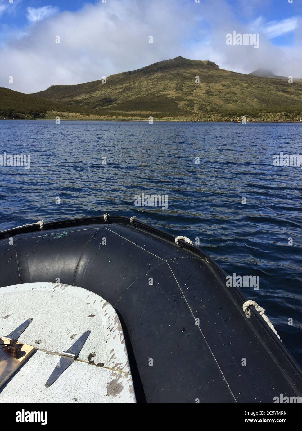 Landschaft von Perseverance Harbor auf Campbell Island und Insel in der subantarktischen Region von Neuseeland. Von einer Zodiac-Kreuzfahrt aus gesehen. Stockfoto