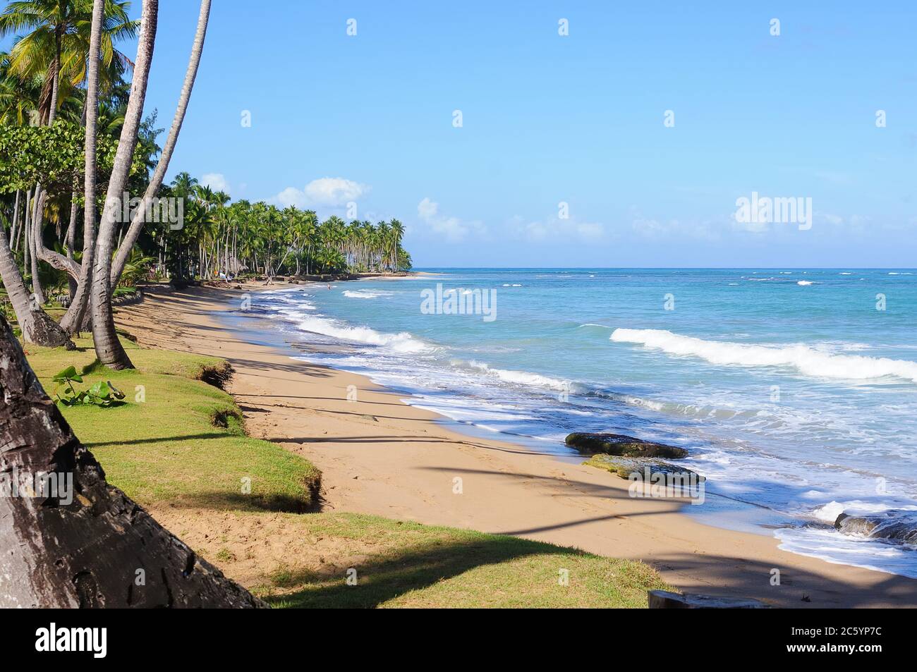 Der Blick auf den wunderschönen tropischen Strand in Las Terrenas, Dominikanische Republik Stockfoto