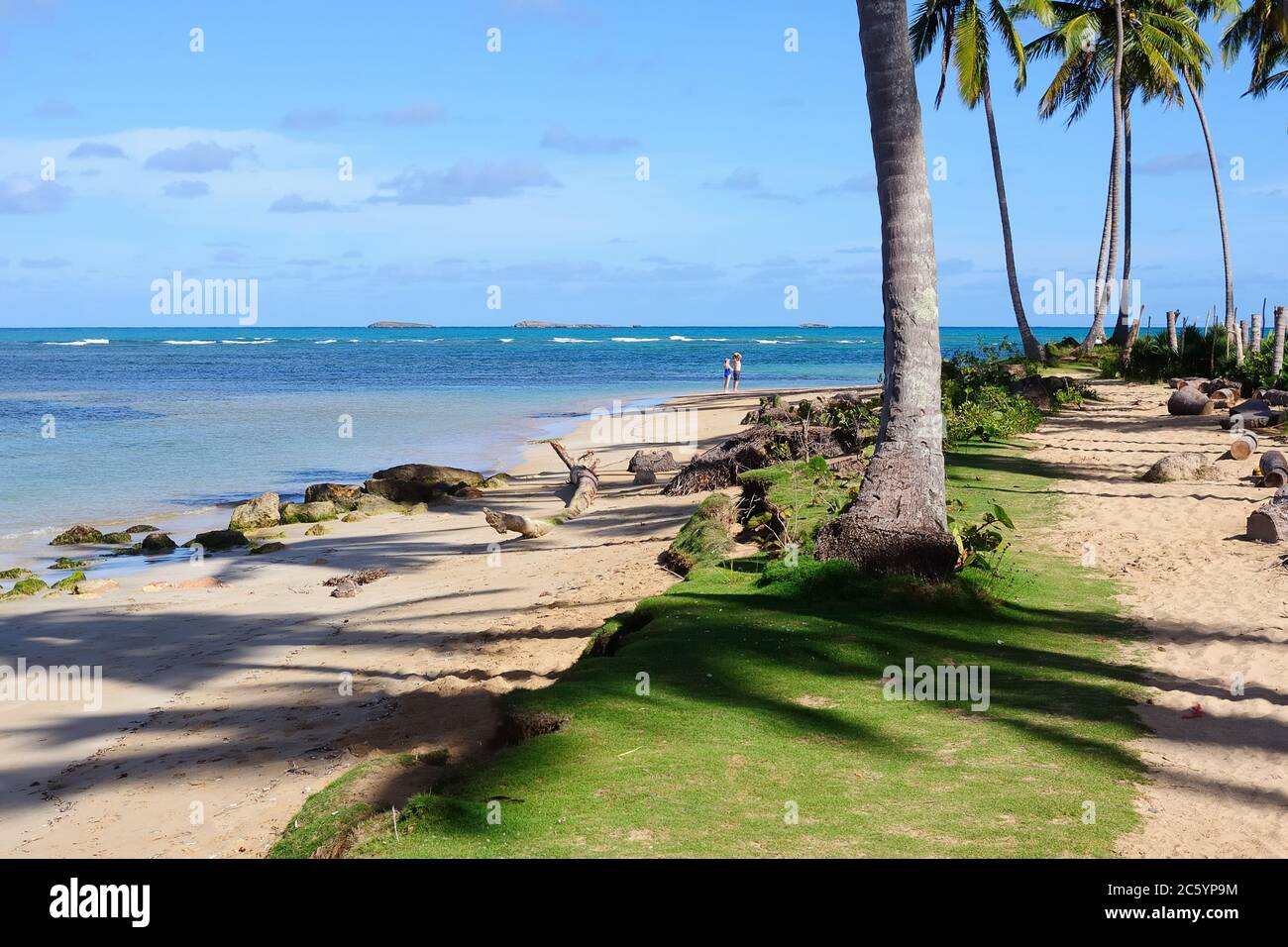 Der Blick auf den wunderschönen tropischen Strand in Las Terrenas, Dominikanische Republik Stockfoto