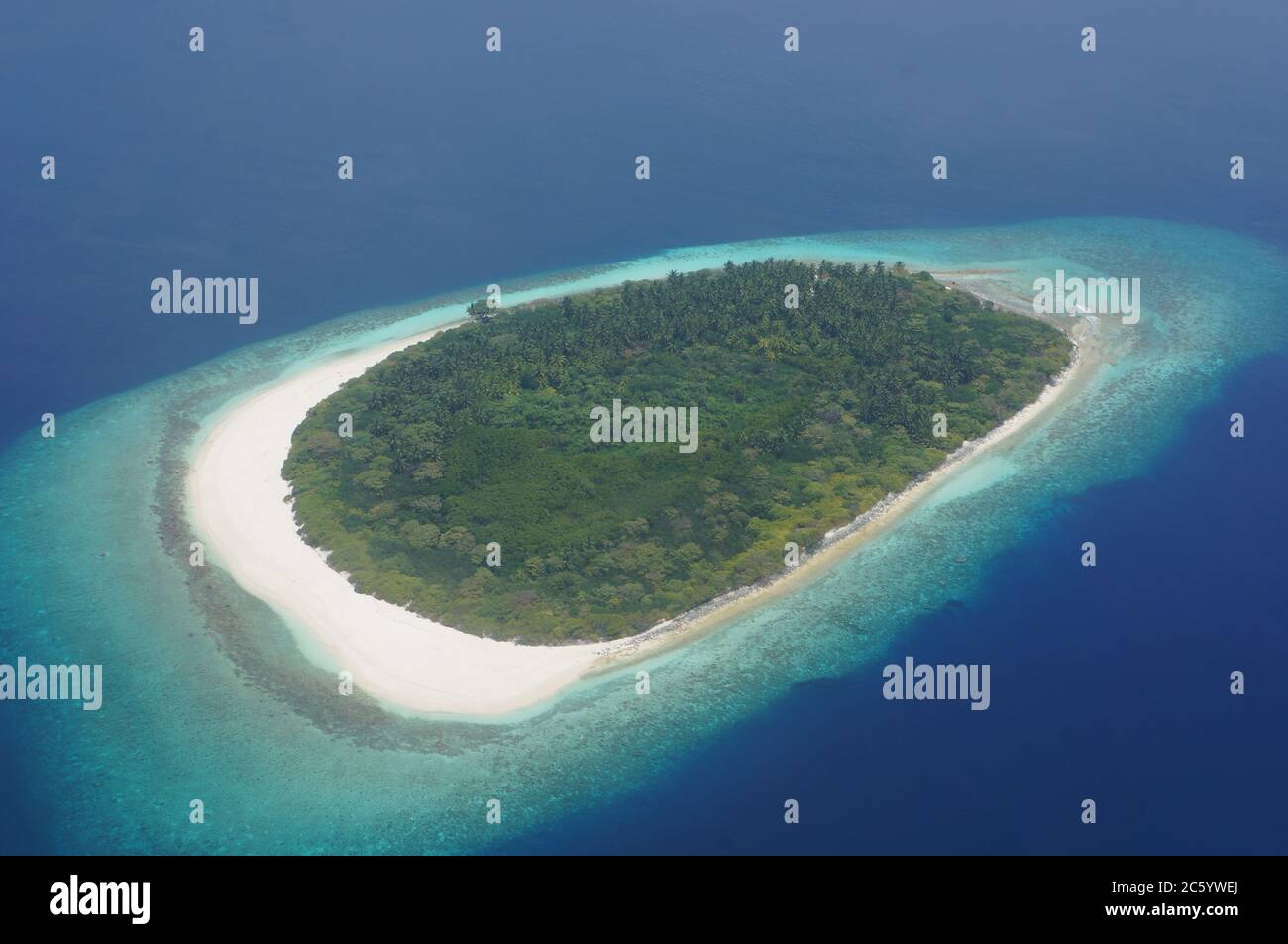 Perfekte Maledivische Insel Stockfoto
