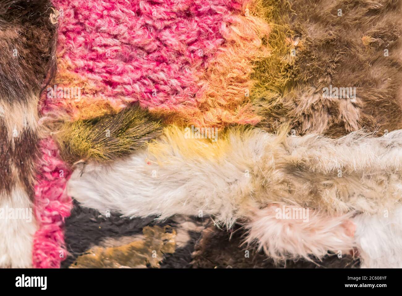 Mehrfarbige Kunstfell Hintergrund Textur Stockfoto