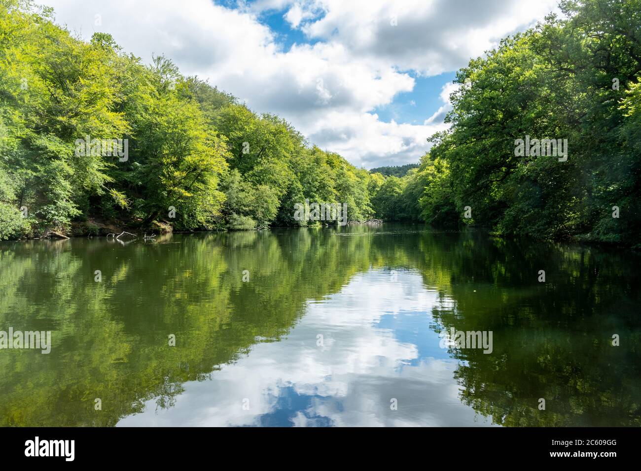 Wagoner's Wells, eine Reihe von künstlichen Teichen zwischen reifen Wäldern, Hampshire, England, Großbritannien Stockfoto