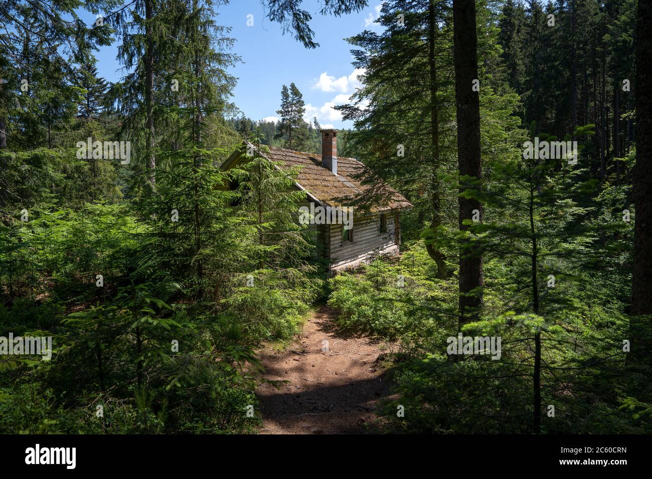 Urige alte Holzhütte im Wald Stockfoto