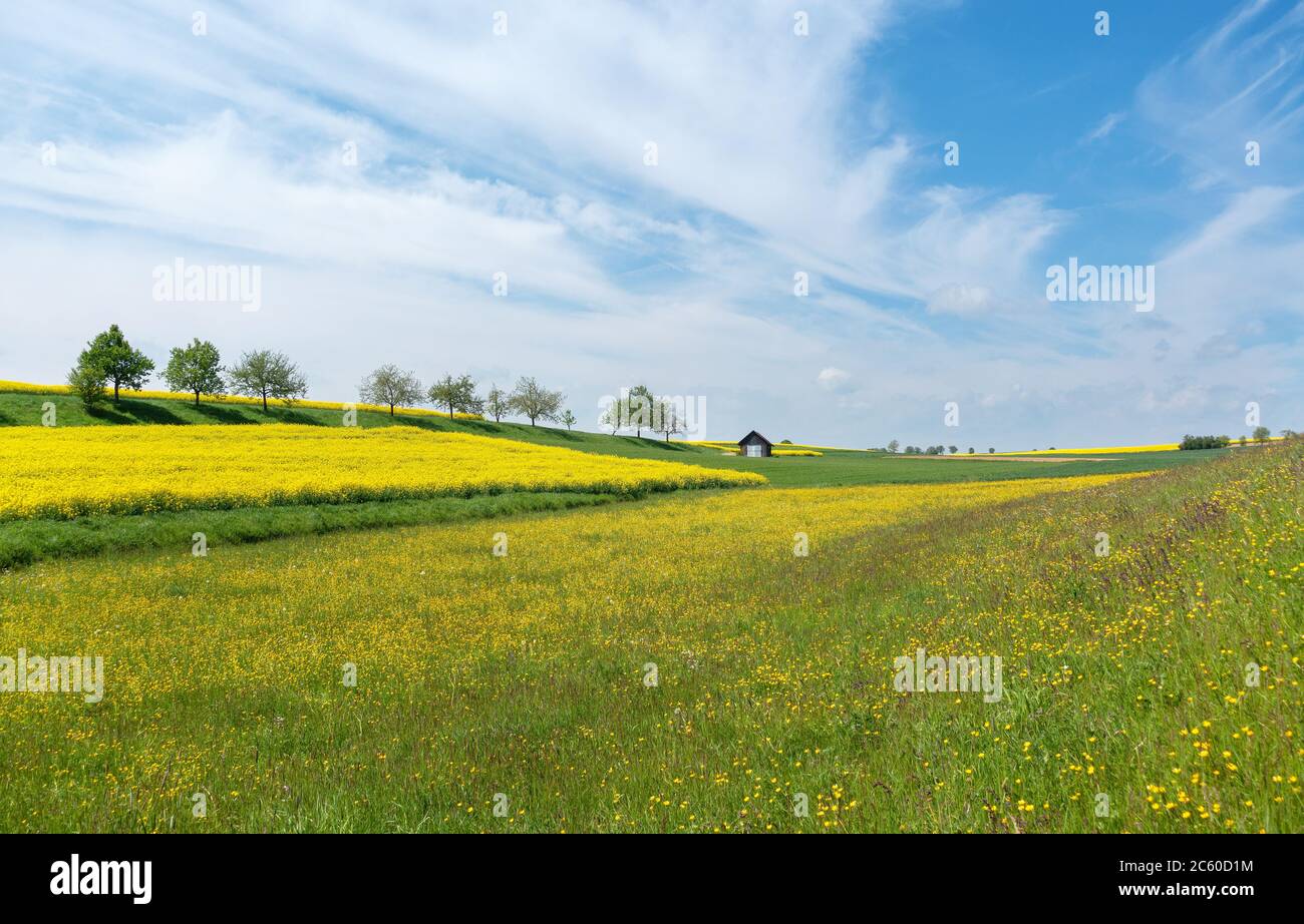 Idyllische ländliche Landschaft mit einer großen Blumenwiese und Feldern Stockfoto
