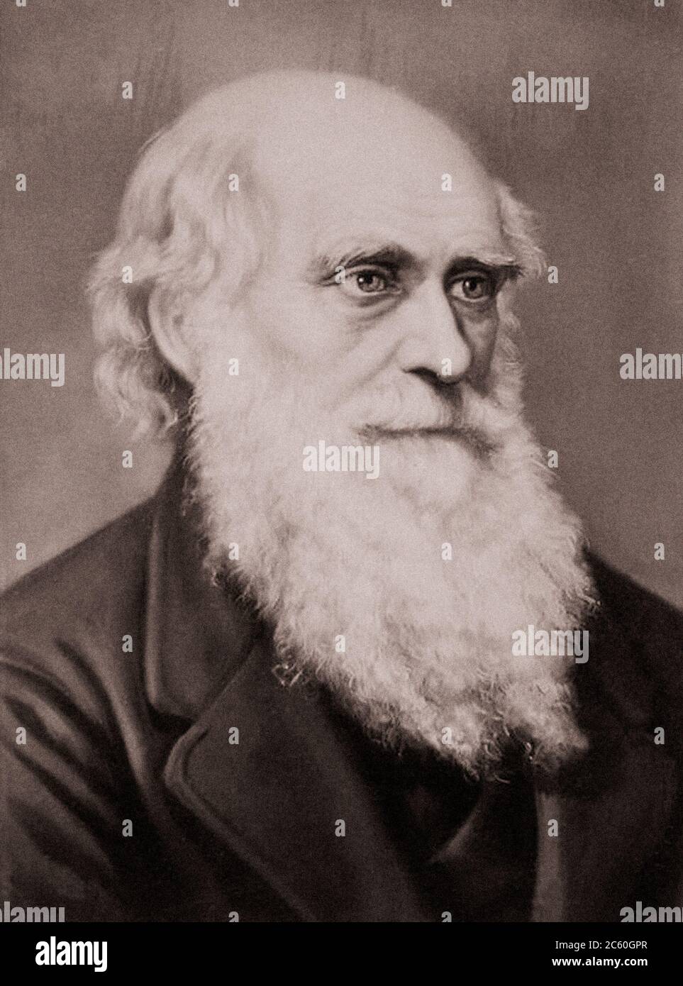 Charles Robert Darwin (1809 – 1882) war ein englischer Naturforscher, Geologe und Biologe, der vor allem für seine Beiträge zur Evolutionswissenschaft bekannt war. Stockfoto