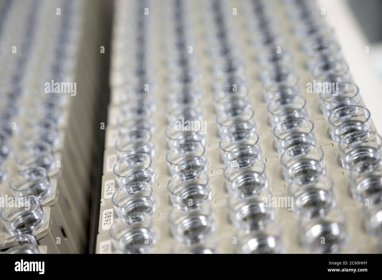 Reihen von Probenflaschen in einem Labor. Stockfoto